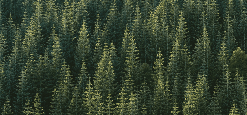image_35_0ac45f594d.png