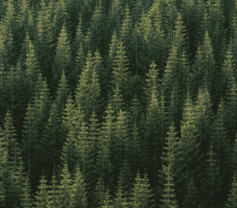shutterstock_2140533015_1_7268d6e449.png